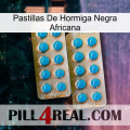 African Black Ant Pills new08